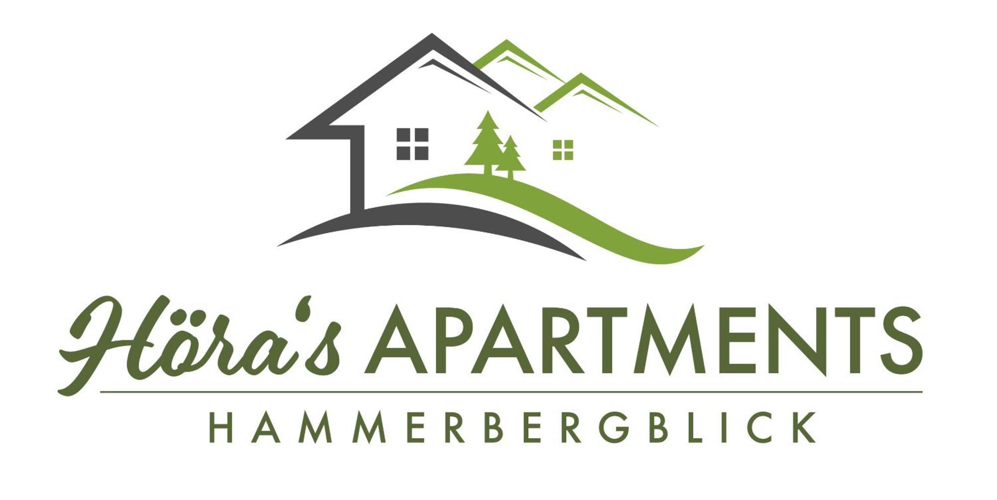 Hoera'S Apartments Hammerbergblick Münchberg 外观 照片